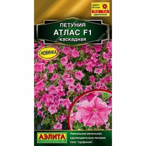 ���� ������ ������� ����� ��������� F1, ����������, (������) 5�� ������� �����, ������ �� 153 ���