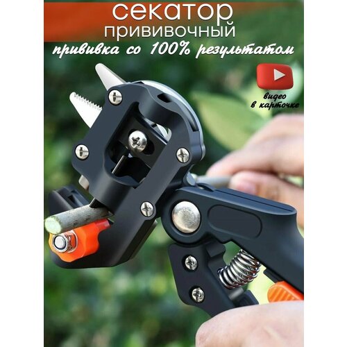 ���� ���������������� ����������� ������� ������� ��� �������� ��������� �������� � 3 �������������� ������ ��� ��������., ������ �� 799 ���