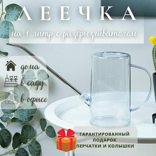 ���� ����� ��� ������ 1 ����, ������ �� 850 ���