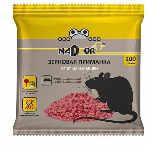 ���� Nadzor �������� �������� �� ����� � ���� Nadzor, 100�, ������ �� 242 ���