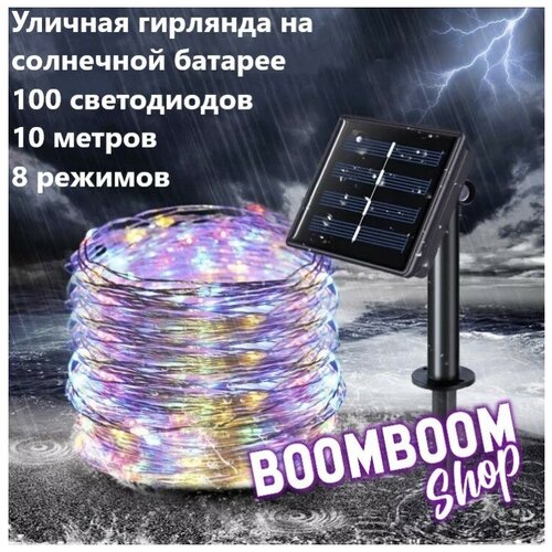 ���� ������������ �������� ���� ������������ �� ��������� ������� 100 ���� 10 ������ 8 �������, ������ �� 650 ���