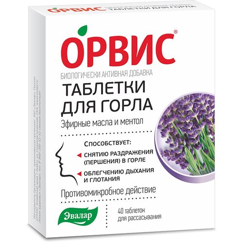 ���� ����� ���. �/������., 40 ��., ������ �� 610 ���