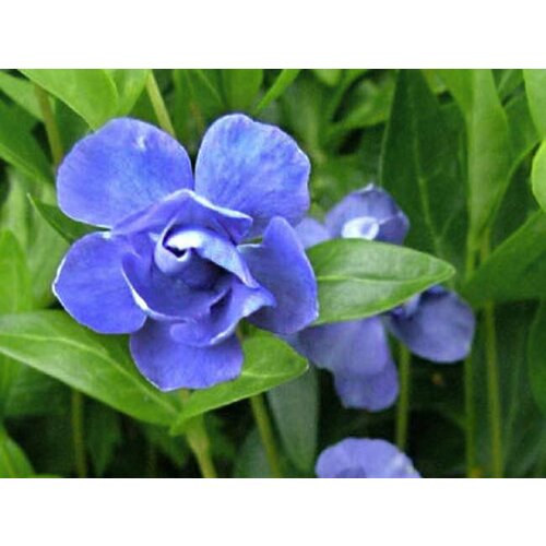 ���� ������ �������� ����� ����������� 0,05 � (1 ��������), ������ �� 480 ���