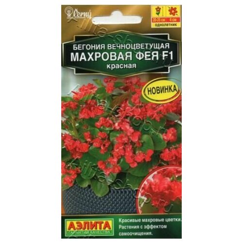 ���� ������� ������������� �������� ��� ������� F1 ( 3 �������� ) , ������, ������ �� 528 ���