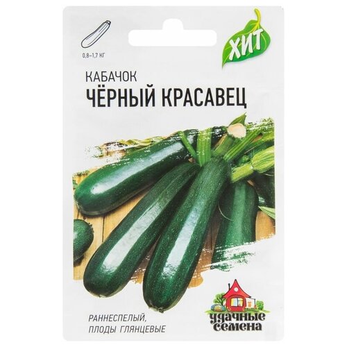 ���� ������ ������ ������� 