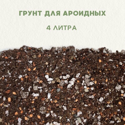 ���� ����� ��� ��������, ��� ��������� ��������, ��� �������������. ����� ��� ������ � ������. 4 �����, ������ �� 1400 ���