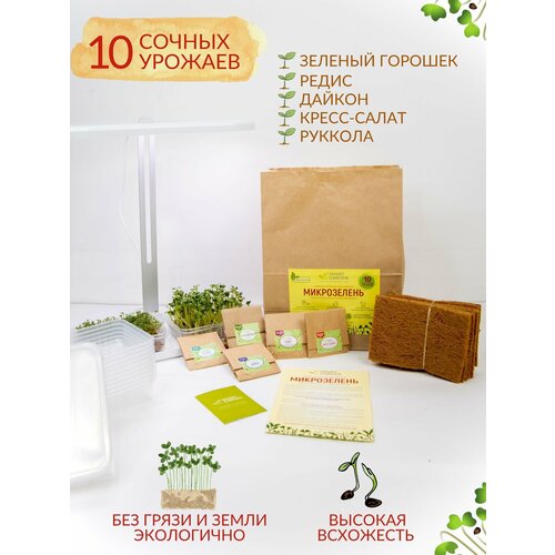 ���� ����� ��� ����������� ����������� 10 �������, �����������, �����, ������ �� 950 ���