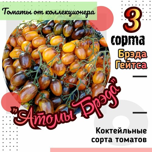 ���� ����� ����� 