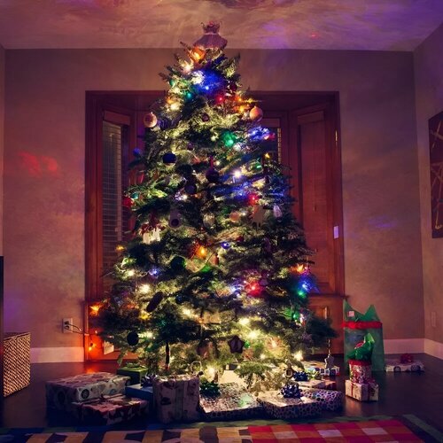 ���� �������� ������������ 6.5 ������ ����� ��� 2025 ��� ������ ��������� ���� �� ���� ���������� ������ ����: �������, ������ �� 280 ���