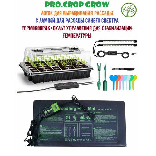 ���� ������� ����� ������ ��� ����������� ������� � ���������� ������������ / ������� ��� ������� / ������, ������ �� 3499 ���