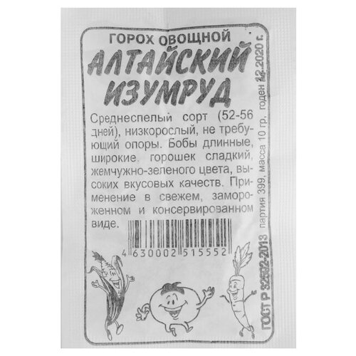 ���� ������ ����� 