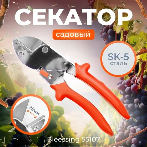 ���� ������� ������� Blessing 55107, ������ �� 1119 ���