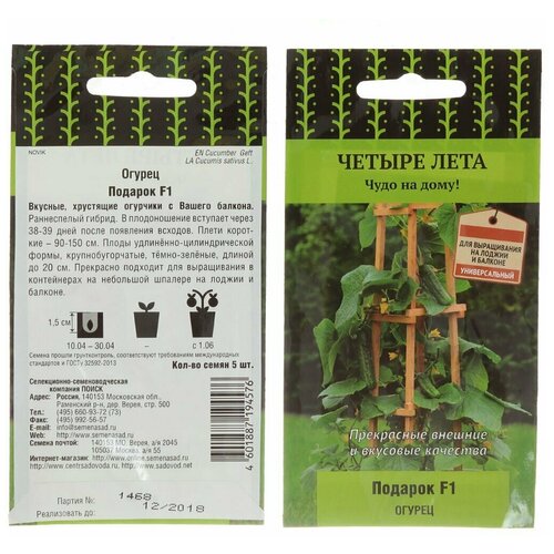 ���� ������ ����� ������ ���� ������ ������� F1 5 ��., ������ �� 530 ���