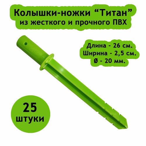 ���� �������-����� ������� ����������� 