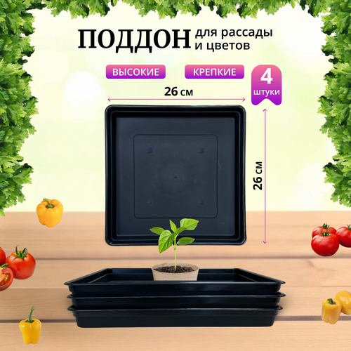     26026040, , ,  4,   555 