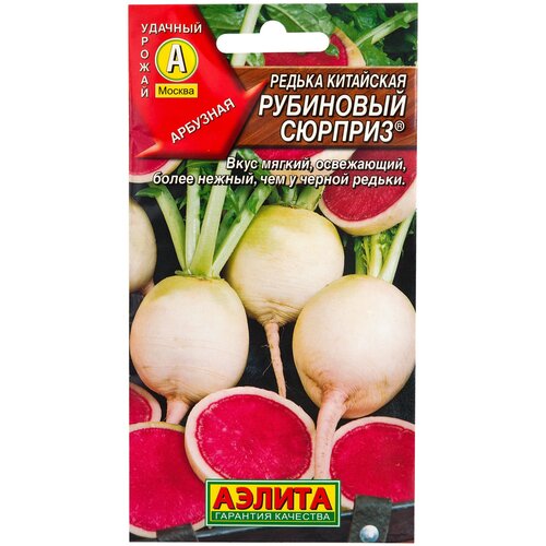 ���� ������ ������ ��������� 