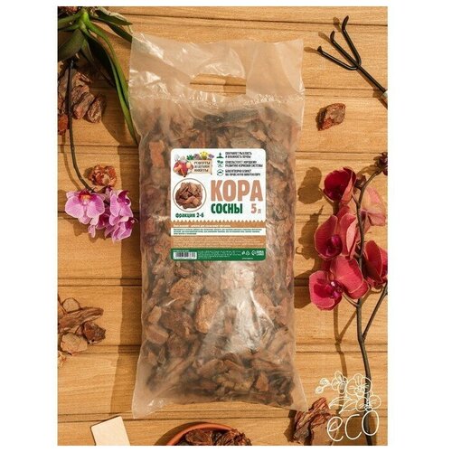 ���� ���� ����� 