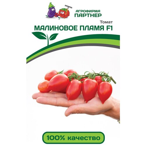 ���� ������ ����� ��������� ����� F1 (10���), ������ �� 339 ���