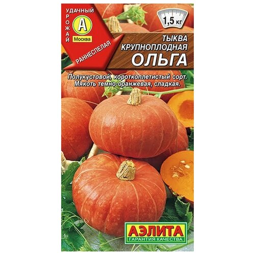 ���� ������. ����� ������������� 