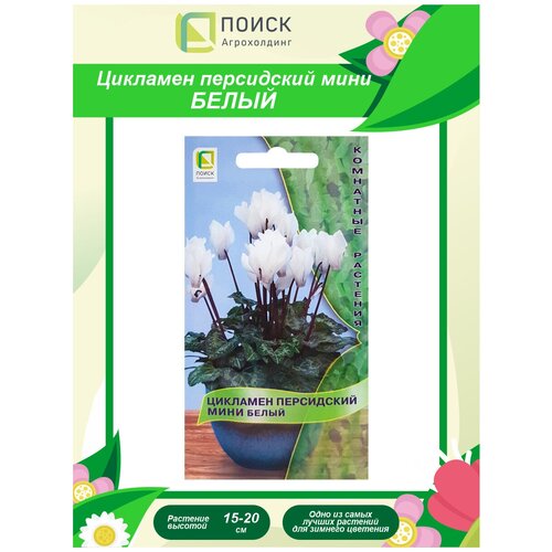 ���� ������ �������� ���������� ���� ����� ��������� 2 ��., ������ �� 132 ���