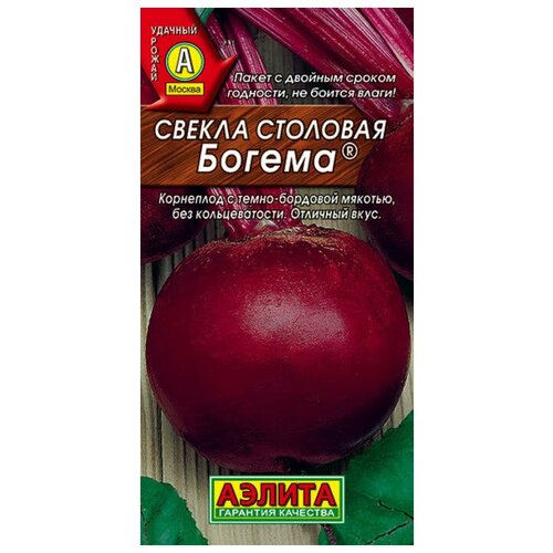 ���� ������. ������ 