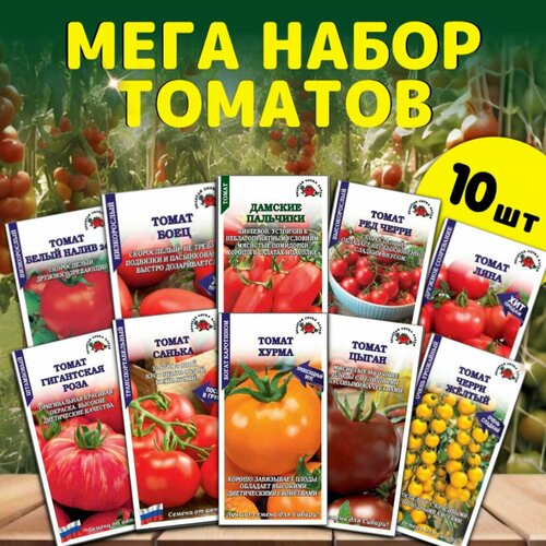 ���� ������ ����������� ����������� � ����� �������, ������ �� 450 ���