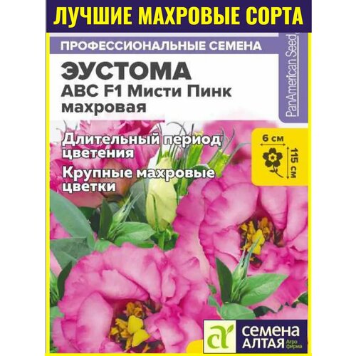 ���� ������ ������� ����������� ABC ����� ���� - 5 ��. ��������������� ���� �������� PanAmerican � ������������� ��������, ������ �� 487 ���