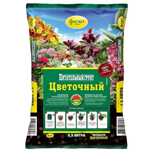 ���� ����� ����� ���������, 2.5 �, 1.1 ��, ������ �� 157 ���