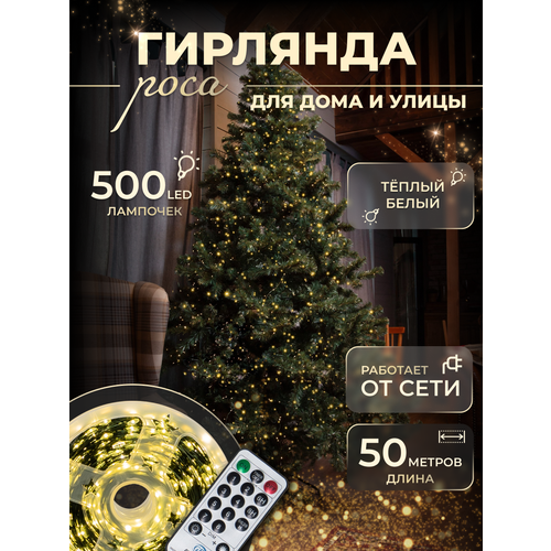 ���� �������� 