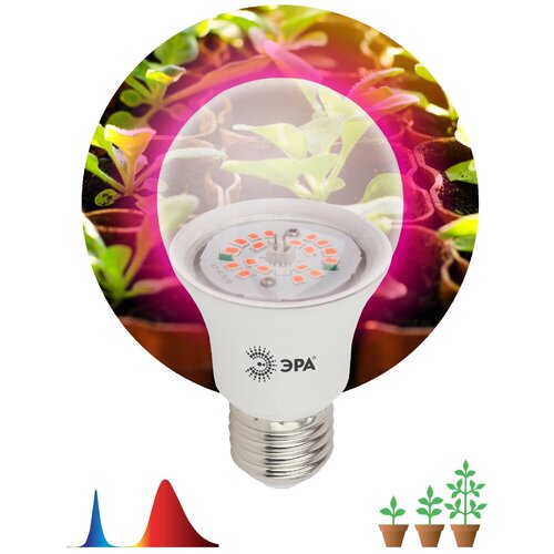       FITO-10W-RB-E27-K -  10  27 (2 ),   3400 