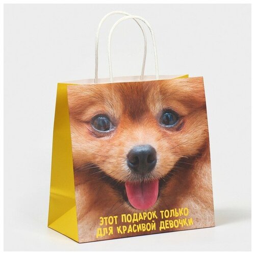 ���� ����� ���������� ����������, 22 � 22 � 11 ��, ������ �� 208 ���