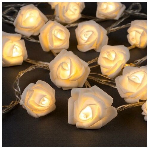 ���� �������� ������ 5 � � ��������� ����� �����, IP20, ���������� ����, 20 LED, �������� ����� �����, 220 �, ������ �� 812 ���