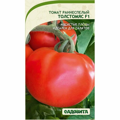 ���� ������ ������ ��������� ������� ������, ������ �� 298 ���