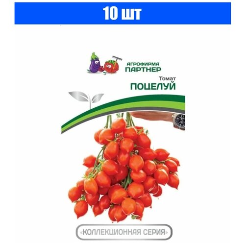 ���� ������ ������ 