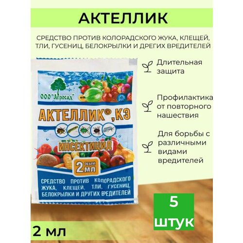 ���� �������� ������ �������� ��������, ������ �� 330 ���