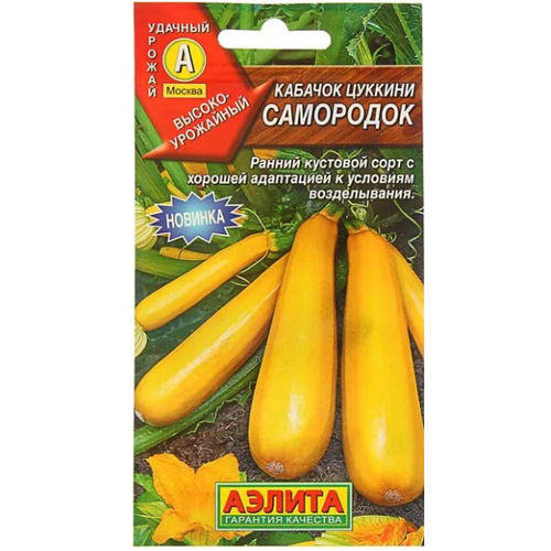 ���� ������ ������� ��������� ������� 1� ������ ������ (������), ������ �� 44 ���