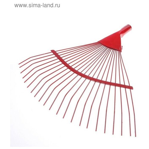 ���� ������ �������, �����������, 22 �����, ������, ��� �������, ������� 30 ��, ������ �� 450 ���