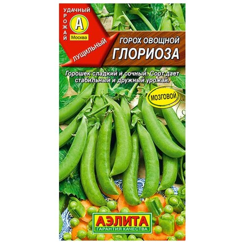 ���� ������. ����� ������� ��������� 