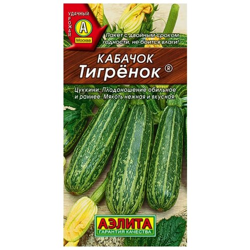 ���� ������. �������-������� 