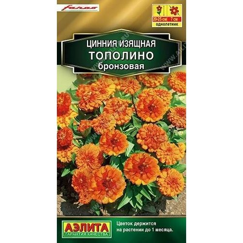 ���� ������. ������ 