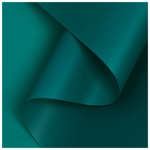 ���� ������ ����������� ����-���� 