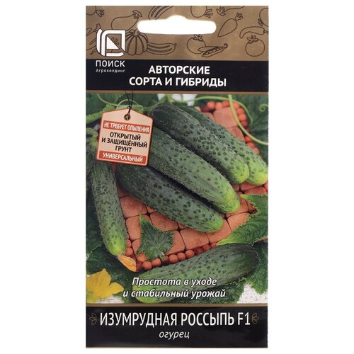 ���� ������ ����� ��������� ����� � ������� ������ ���������� ������� F1 12 ��., ������ �� 98 ���