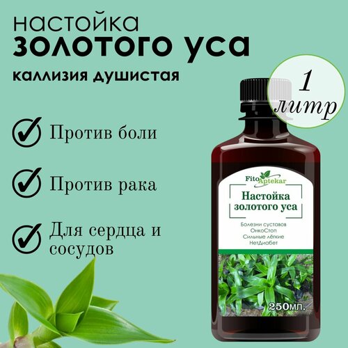 ���� �������� �������� ��� 