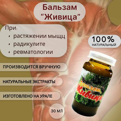 ���� ������� 