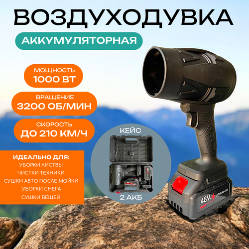 ���� ������������ �������������� 21V, 2 ���, ����, ������ �� 3100 ���