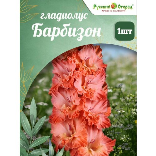 ���� ��������� ��������, ������ �� 309 ���