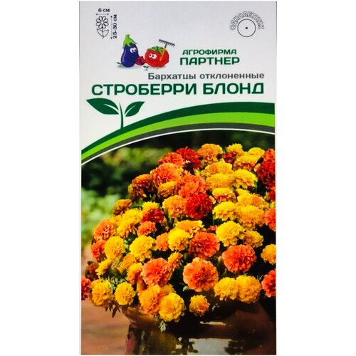 ���� ������ ��������� ����������� 