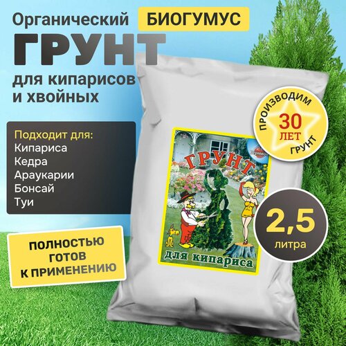 ���� ����� ��� ��������� � ������� �������� 