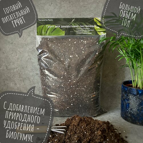 ���� ������� ����� � ���������� ��� ��������� �������� �������� Terracotta Plants, 10 ������., ������ �� 769 ���