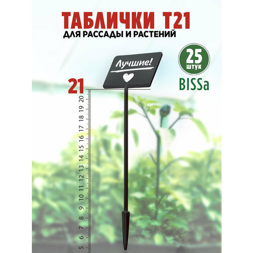 ���� ������� �������� ��� ������� � ��������, Bissa �21, ������, 25 ��, ������ �� 810 ���